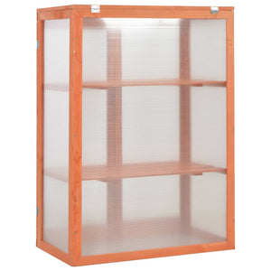 Galleria Design Greenhouse Wood 75x47x109 cm