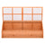 Galleria Design Greenhouse Wood 180x57x62 cm