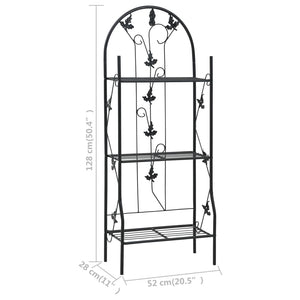 Galleria Design 3-Layer Plant Rack Black 52x28x128 cm Iron