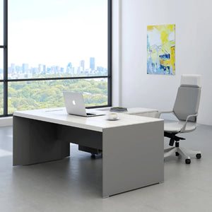 Elegant Rectangular Executive Desk (Whitout Side Table)