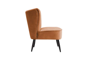 FITZ Compact Polish Arm Chair